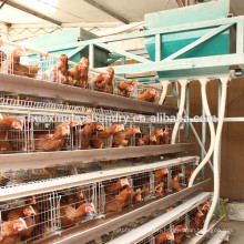 Chicken layer coop for poultry farm